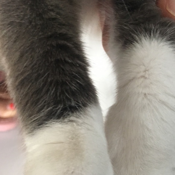 Meet your Posher, Jinhee - Picture 1 of 1